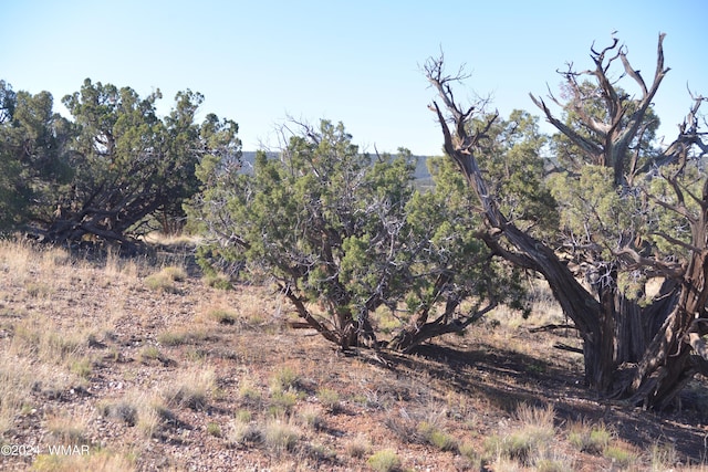 3908 Coronado Rd, Snowflake, AZ 85937