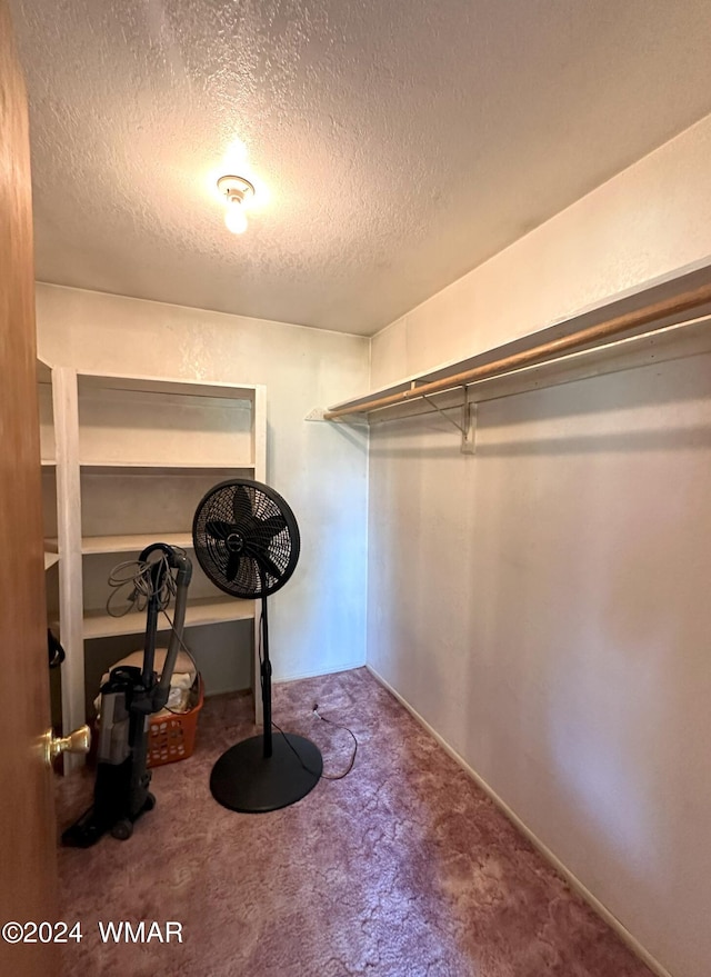 spacious closet with carpet flooring