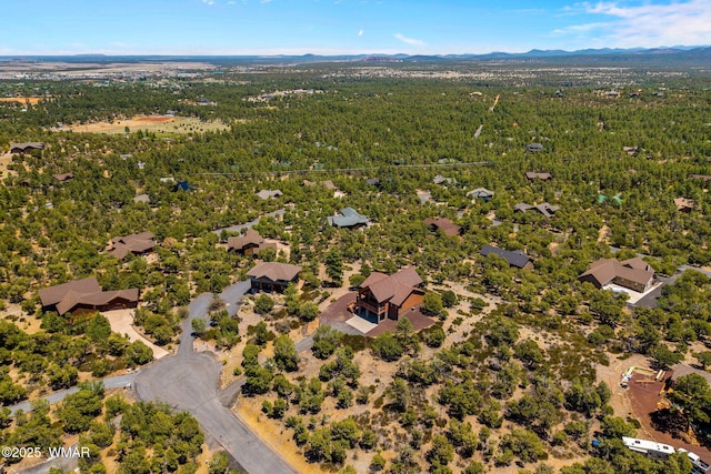 1561 S Canyon Ridge Trl, Show Low, AZ 85901 - bird's eye view of a heavily wooded area and a mountainous background