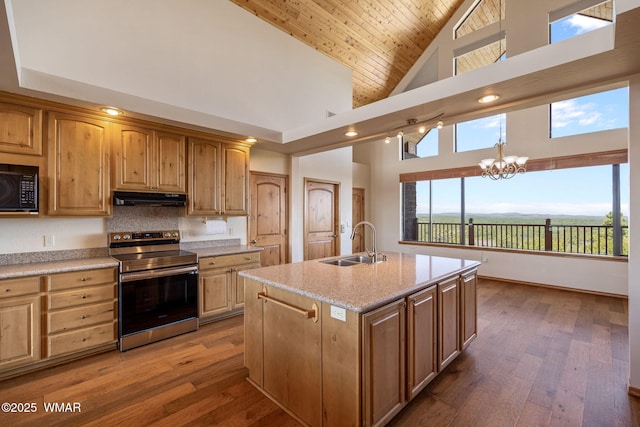 1561 S Canyon Ridge Trl, Show Low, AZ 85901 - kitchen featuring stainless steel electric stove, a sink, under cabinet range hood, black microwave, and high vaulted ceiling
