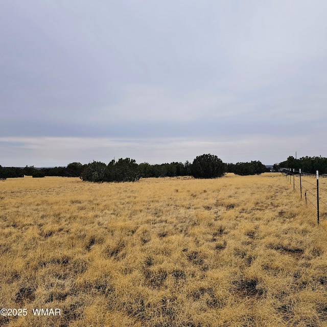 8387 High Plains Rd, Show Low, AZ 85901 - photo 8