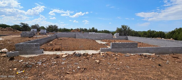 8387 High Plains Rd, Show Low, AZ 85901 - photo 20