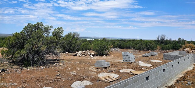 8387 High Plains Rd, Show Low, AZ 85901 - photo 21