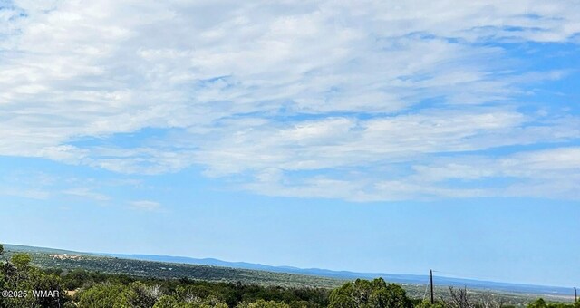 8387 High Plains Rd, Show Low, AZ 85901 - photo 4
