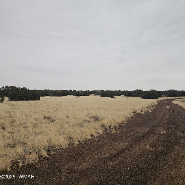 8387 High Plains Rd, Show Low, AZ 85901 - photo 13