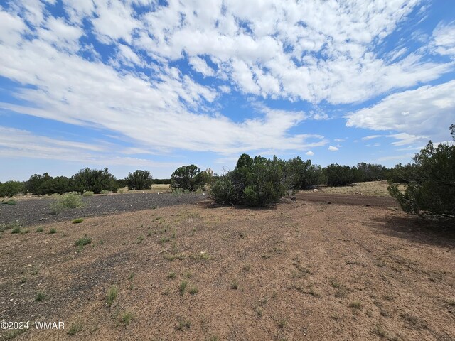 8387 High Plains Rd, Show Low, AZ 85901 - photo 14