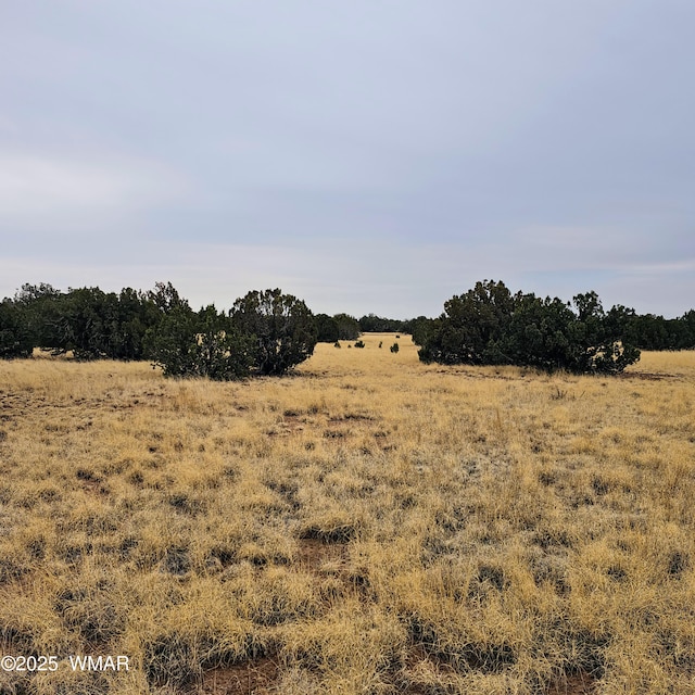 8387 High Plains Rd, Show Low, AZ 85901 - photo 11