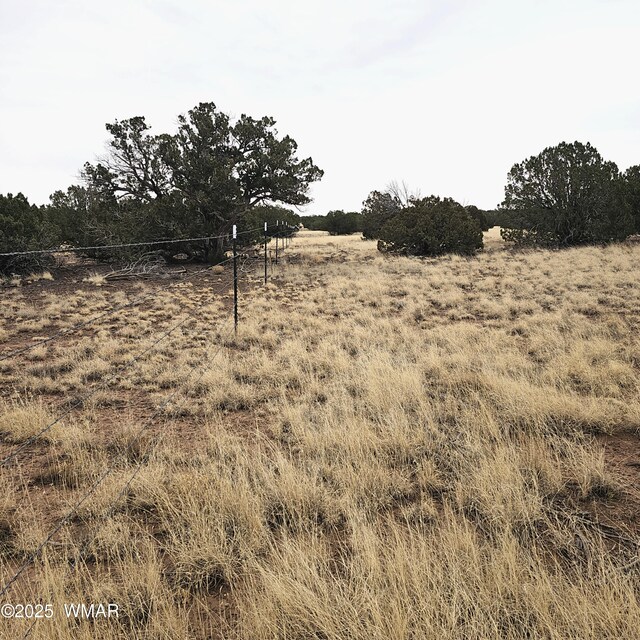8387 High Plains Rd, Show Low, AZ 85901 - photo 10