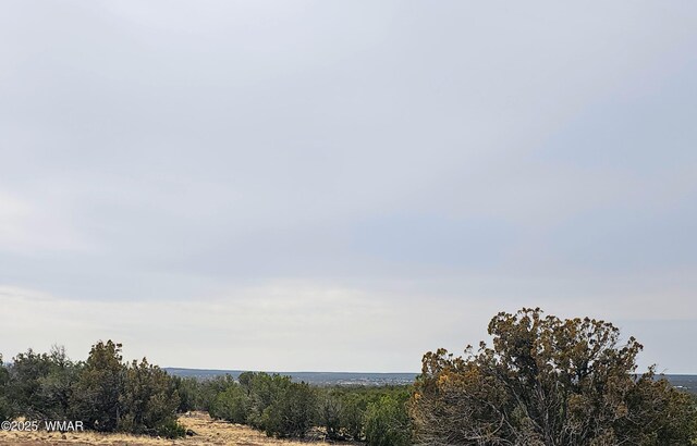 8387 High Plains Rd, Show Low, AZ 85901 - photo 3