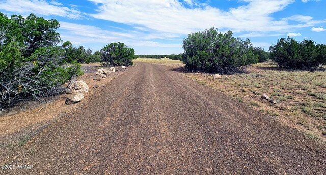 8387 High Plains Rd, Show Low, AZ 85901 - photo 2