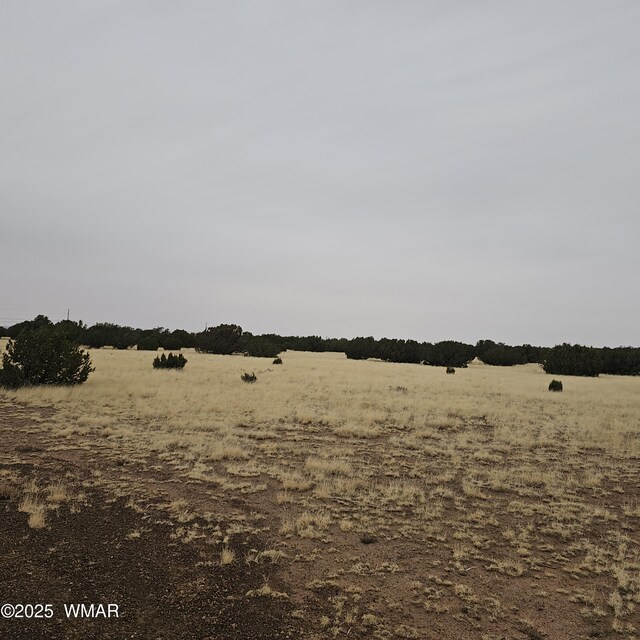 8387 High Plains Rd, Show Low, AZ 85901 - photo 7