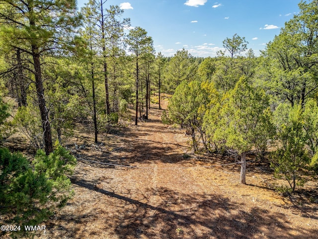 2306 Thunderbird Cir, Overgaard, AZ 85933 - photo 11