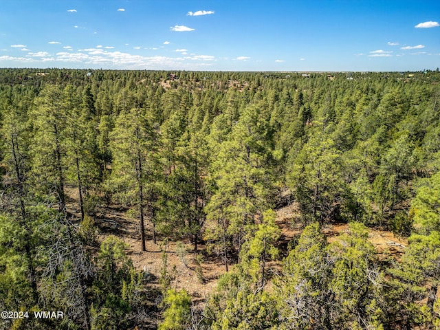 2306 Thunderbird Cir, Overgaard, AZ 85933 - photo 10