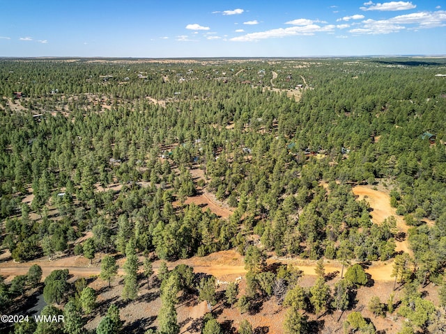2306 Thunderbird Cir, Overgaard, AZ 85933 - photo 3