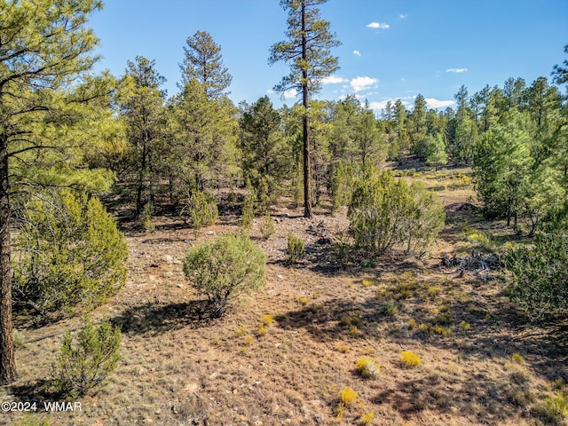 2306 Thunderbird Cir, Overgaard, AZ 85933 - photo 13