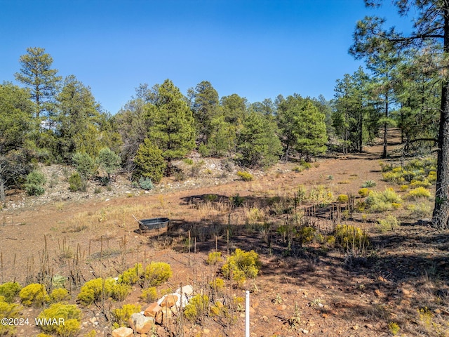 2306 Thunderbird Cir, Overgaard, AZ 85933 - photo 14