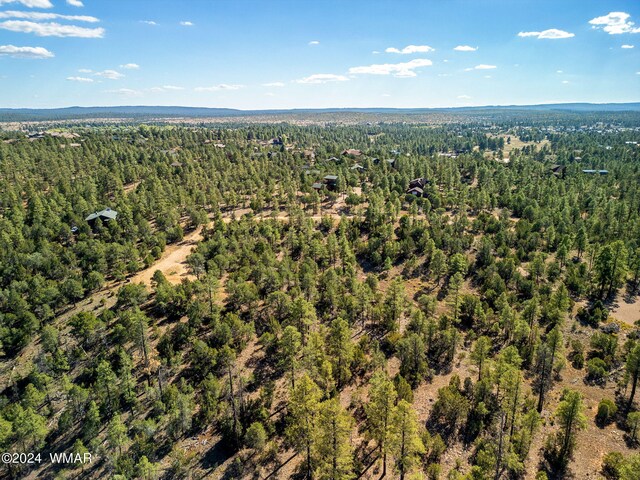 2306 Thunderbird Cir, Overgaard, AZ 85933 - photo 7