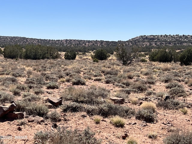 3865 Dia Estrella Rd, Snowflake, AZ 85937 - photo 1