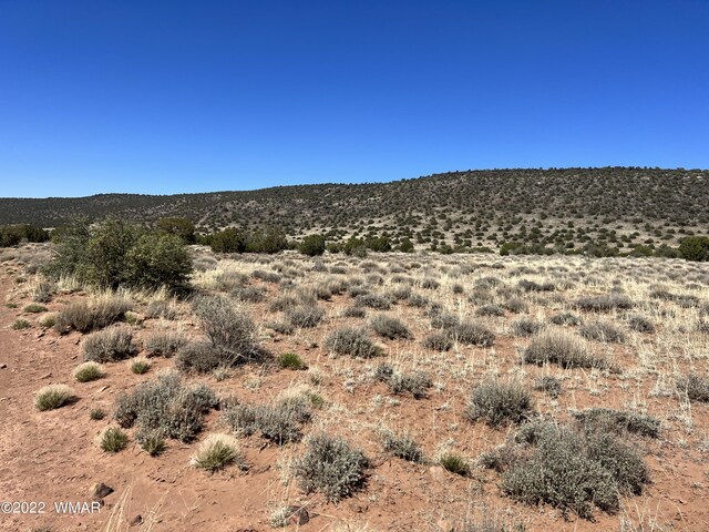 3865 Dia Estrella Rd, Snowflake, AZ 85937 - photo 9