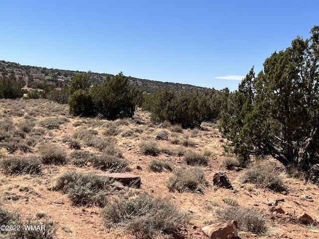 3865 Dia Estrella Rd, Snowflake, AZ 85937 - photo 3