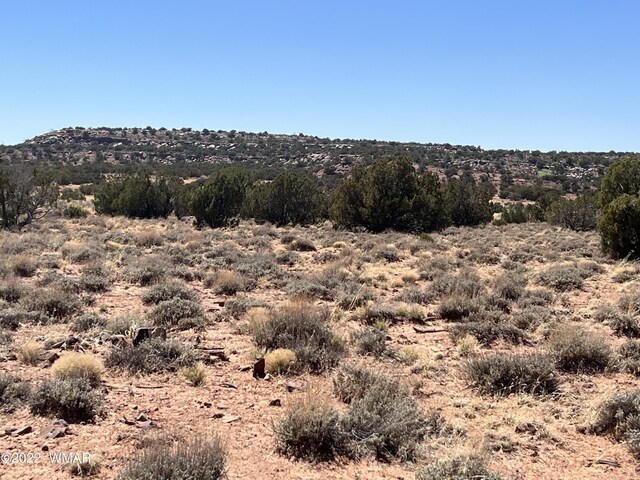 3865 Dia Estrella Rd, Snowflake, AZ 85937 - photo 8