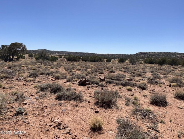 3865 Dia Estrella Rd, Snowflake, AZ 85937 - photo 4