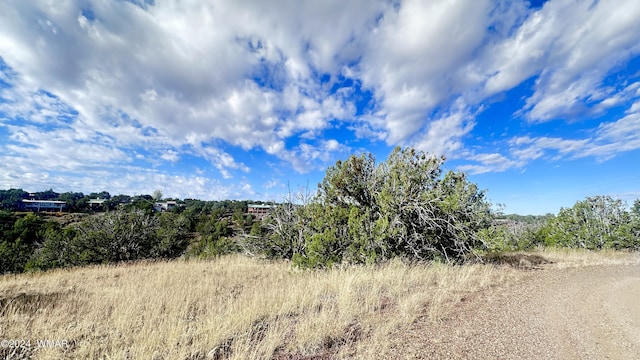 1816 Espinoza Pl, Show Low AZ, 85901 land for sale