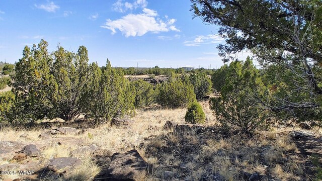 1794 Queen Creek Pl, Show Low, AZ 85901 - photo 4