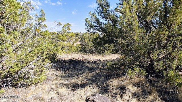 1794 Queen Creek Pl, Show Low, AZ 85901 - photo 3