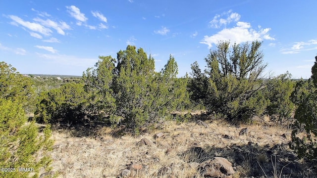 1794 Queen Creek Pl, Show Low, AZ 85901 - photo 2