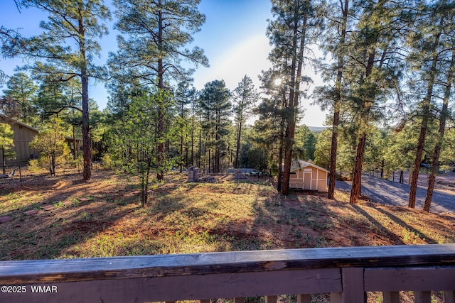 7125 Elk Trl, Show Low, AZ 85901 - view of yard