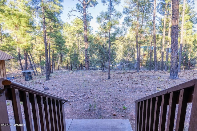 7125 Elk Trl, Show Low, AZ 85901 - view of yard