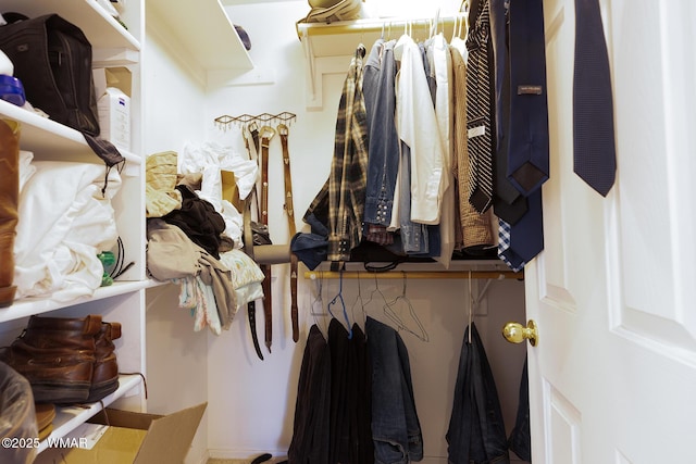 7125 Elk Trl, Show Low, AZ 85901 - view of spacious closet