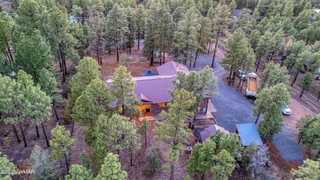 7125 Elk Trl, Show Low, AZ 85901 - view from above of property with a forest