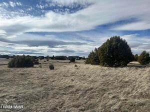 1001 S Ridgeway Pl, Show Low AZ, 85901 land for sale