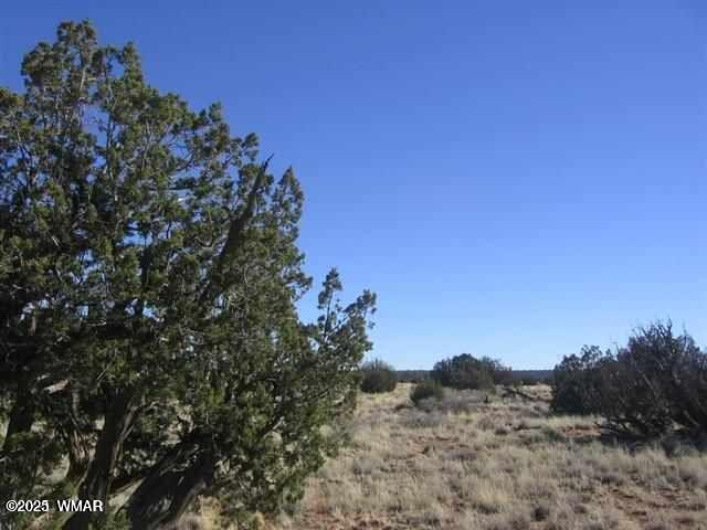 5999 Mesa View Dr, Heber, AZ 85928 - photo 1