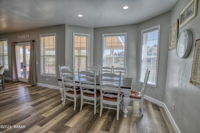 dining room featuring wood finished floors, baseboards, plenty of natural light, and recessed lighting