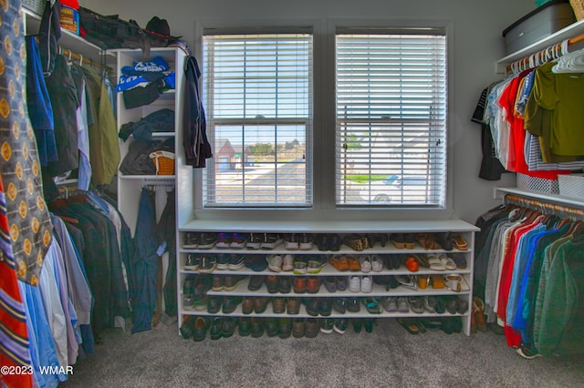 walk in closet featuring carpet floors