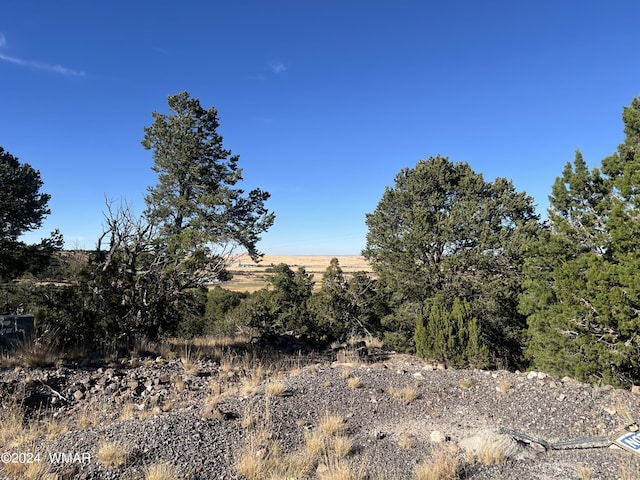 TBD S Skyline Dr, Eagar AZ, 85925 land for sale