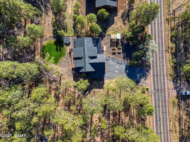 739 W Woodland Lake Rd, Lakeside, AZ 85929 - photo 48