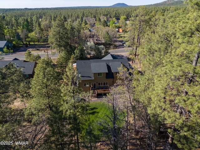 739 W Woodland Lake Rd, Lakeside, AZ 85929 - photo 4