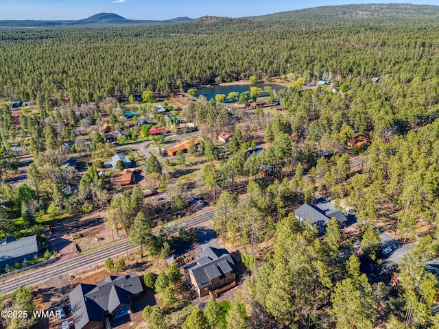 739 W Woodland Lake Rd, Lakeside, AZ 85929 - photo 3