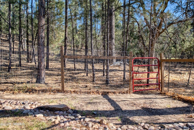 739 W Woodland Lake Rd, Lakeside, AZ 85929 - photo 44