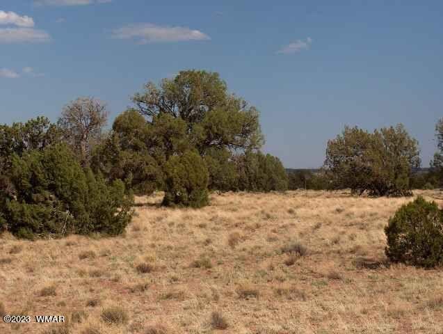 6103 River Run Dr, Heber, AZ 85928