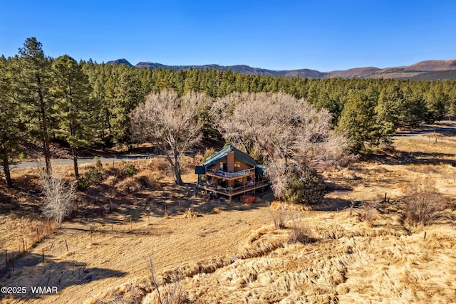 view of mountain feature featuring a view of trees