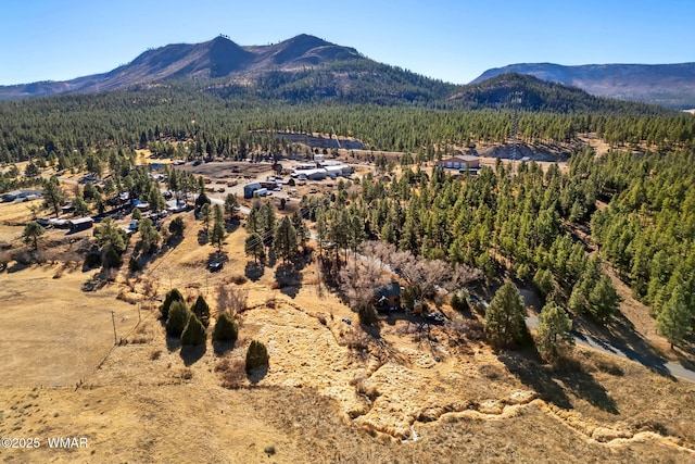 property view of mountains