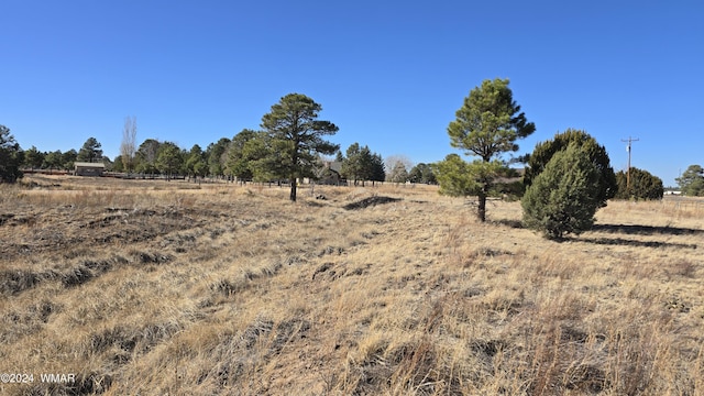 2278 Meadow, Overgaard AZ, 85933 land for sale