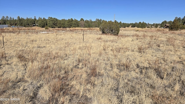 Listing photo 3 for 2278 Meadow, Overgaard AZ 85933