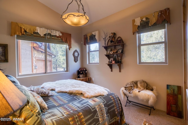 bedroom with carpet