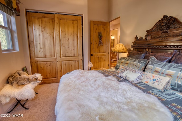 bedroom featuring carpet floors and a closet